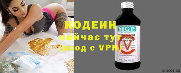 прущие крисы Бородино