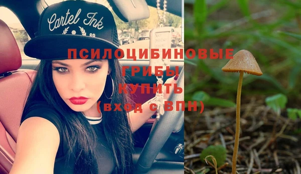 spice Богородицк