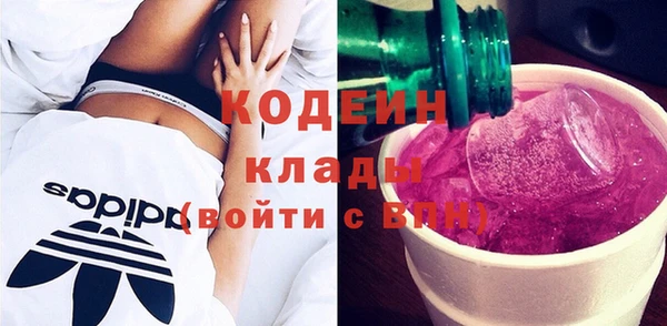 прущие крисы Бородино