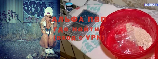 прущие крисы Бородино