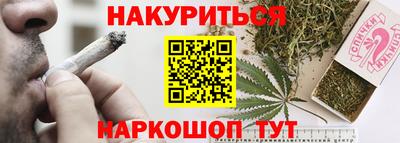 jwh Кингисепп