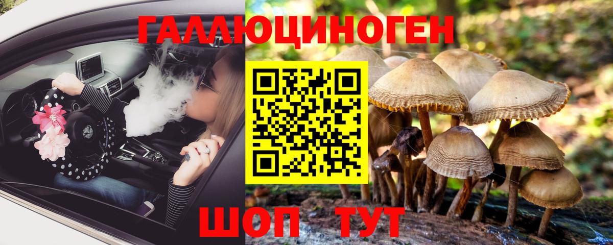 Кстово  Псилоцибиновые грибы Cubensis  цены наркотик  Галлюциногенные грибы Psilocybine cubensis  Вход с VPN 