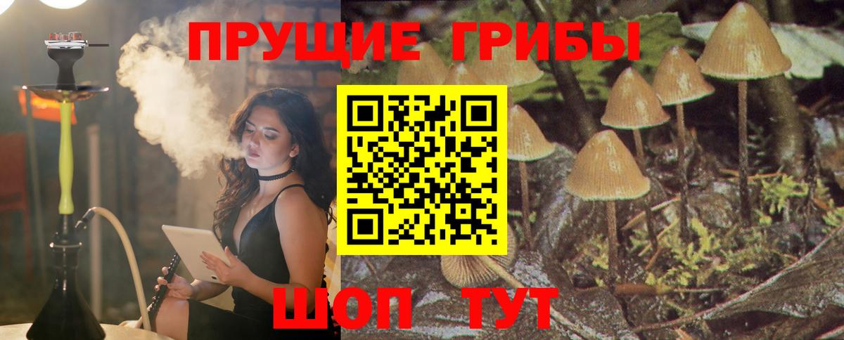 Каннабис Кстово